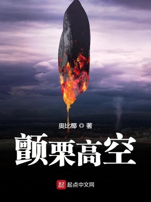 颤栗高空起点图