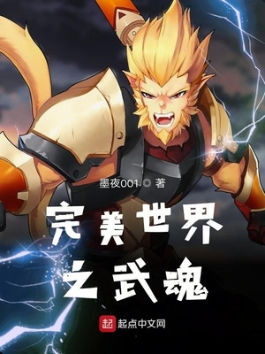 小说完美世界之武魂