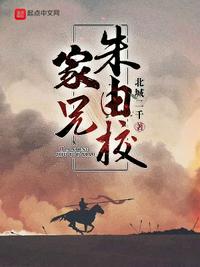 穿越明朝成朱由校的小说