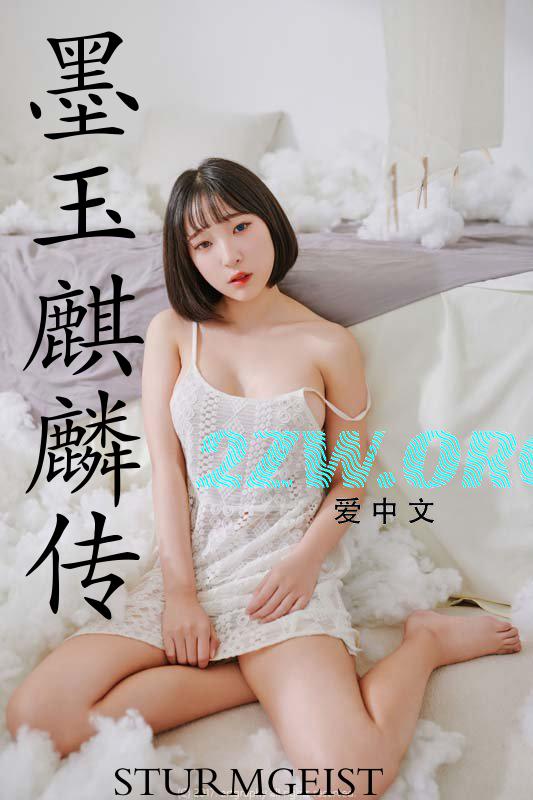 墨玉麒麟传小说