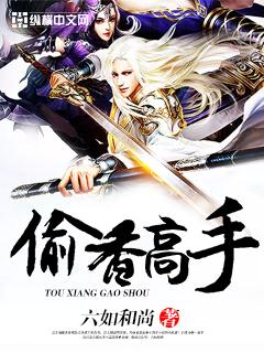 偷香高手完