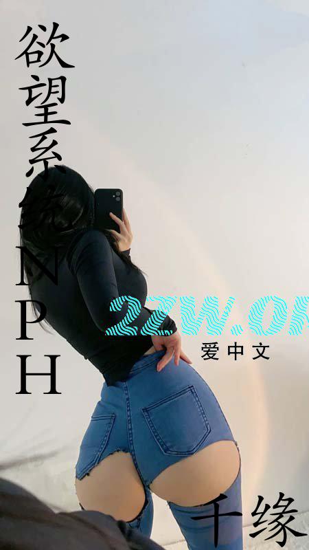 欲望系统(NPH)
