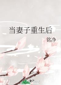 重生成为妻