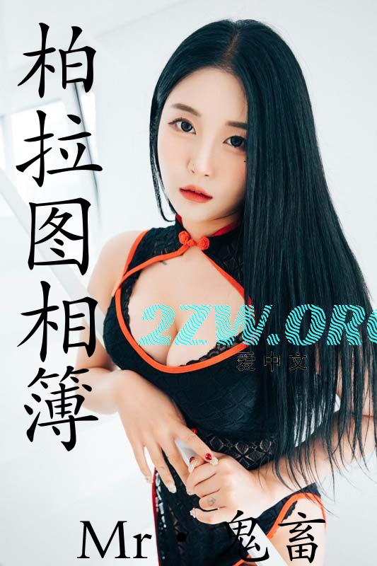 柏拉图相簿h文