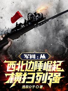 军阀:从西北边陲崛起,横扫列强