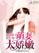 傲娇小萌妃:殿下太腹黑全文免费阅读