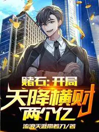 有一部小说里面主角赌石