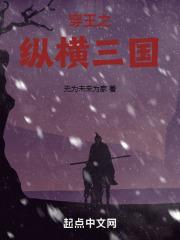 三国之纵横大汉