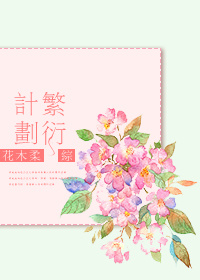 小说综繁衍计划