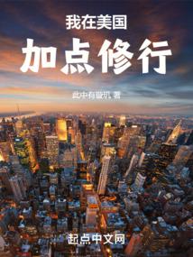 我在美国写网文笔趣阁