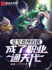 成了职业通天代TXT下载精校版