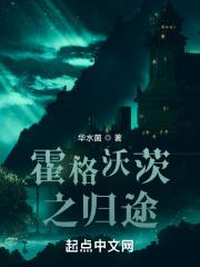 霍格沃茨系列小说