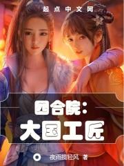 四合院:大国工匠(1-437)