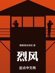 缅北哪些武装亲华