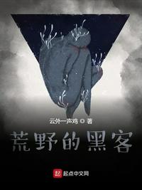 荒野的黑客 小说