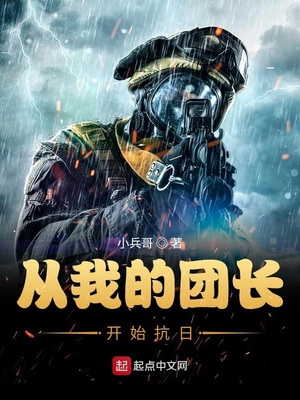 抗战之我的团长