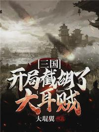 三国开局截胡了大耳贼txt下载奇书网